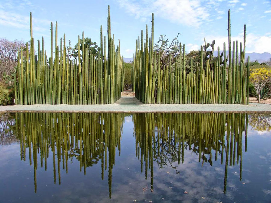 Jardin Etnobotanico de Oaxaca 01