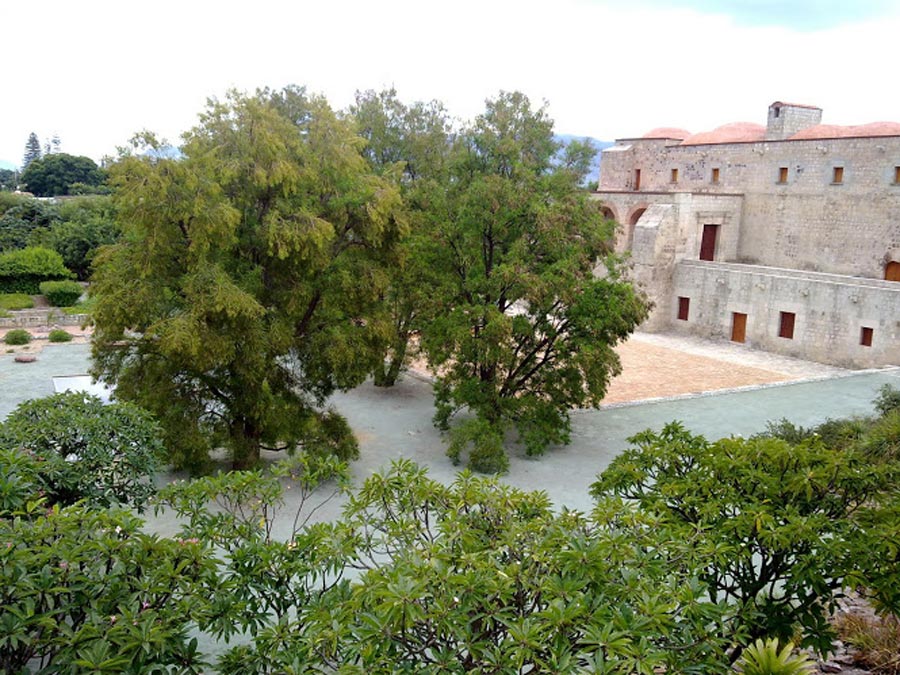 etnobotanico-de-oaxaca-02