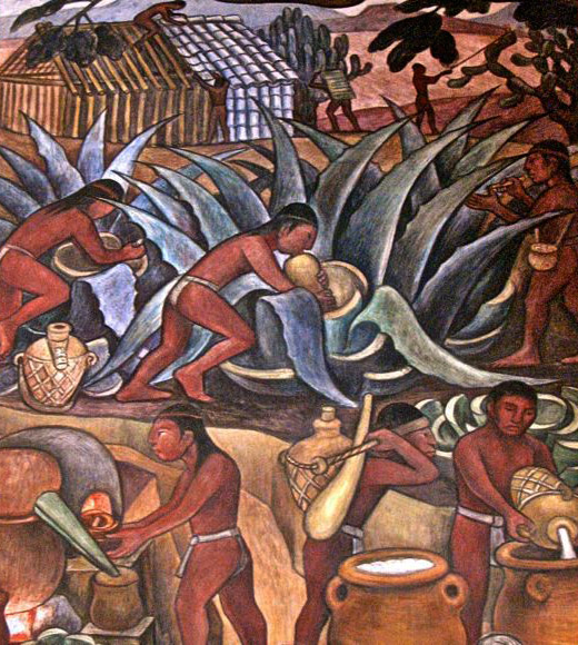 BUOFILIA AGAVE DIEGO RIVERA BUOFILIA AGAVE DIEGO RIVERA
