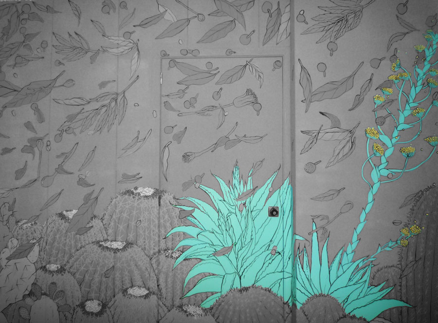 BUOFILIA AGAVE BUOFILIA AGAVE