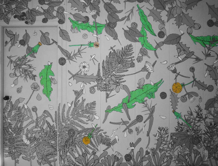 Buofilia. Diente de león Buofilia. Diente de león