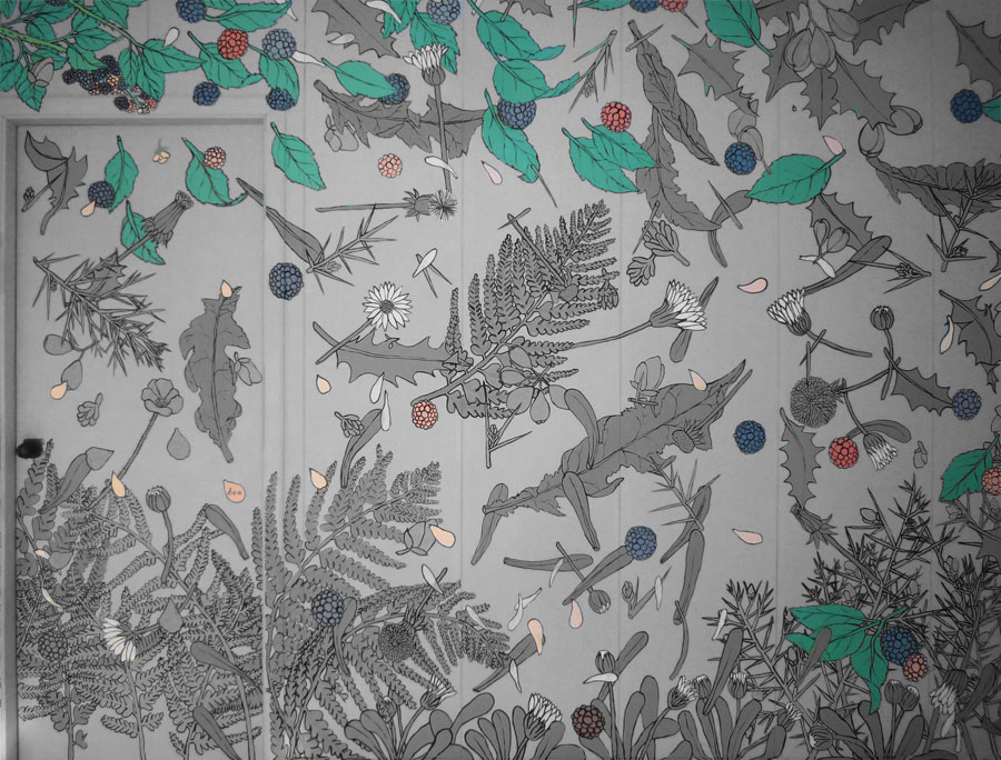 buofilia mora, zarzamora o silva buofilia mora, zarzamora o silva