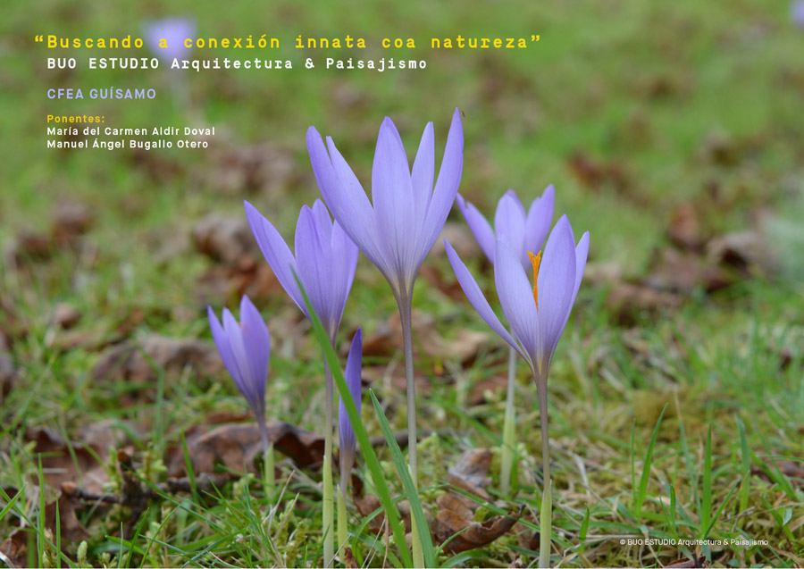 buo-estudio_cfea-guisamo-2016