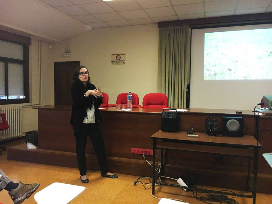 CFEA Guísamo BUO Estudio CFEA Guísamo BUO Estudio